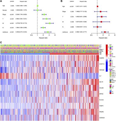 The role of a cuproptosis-related prognostic signature in colon cancer tumor microenvironment and immune responses